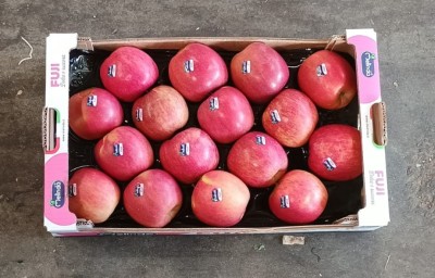 Foto Mele Fuji Lavorazione in Padella Marchio Melinda  Origine Italia Calibro 85/90           3